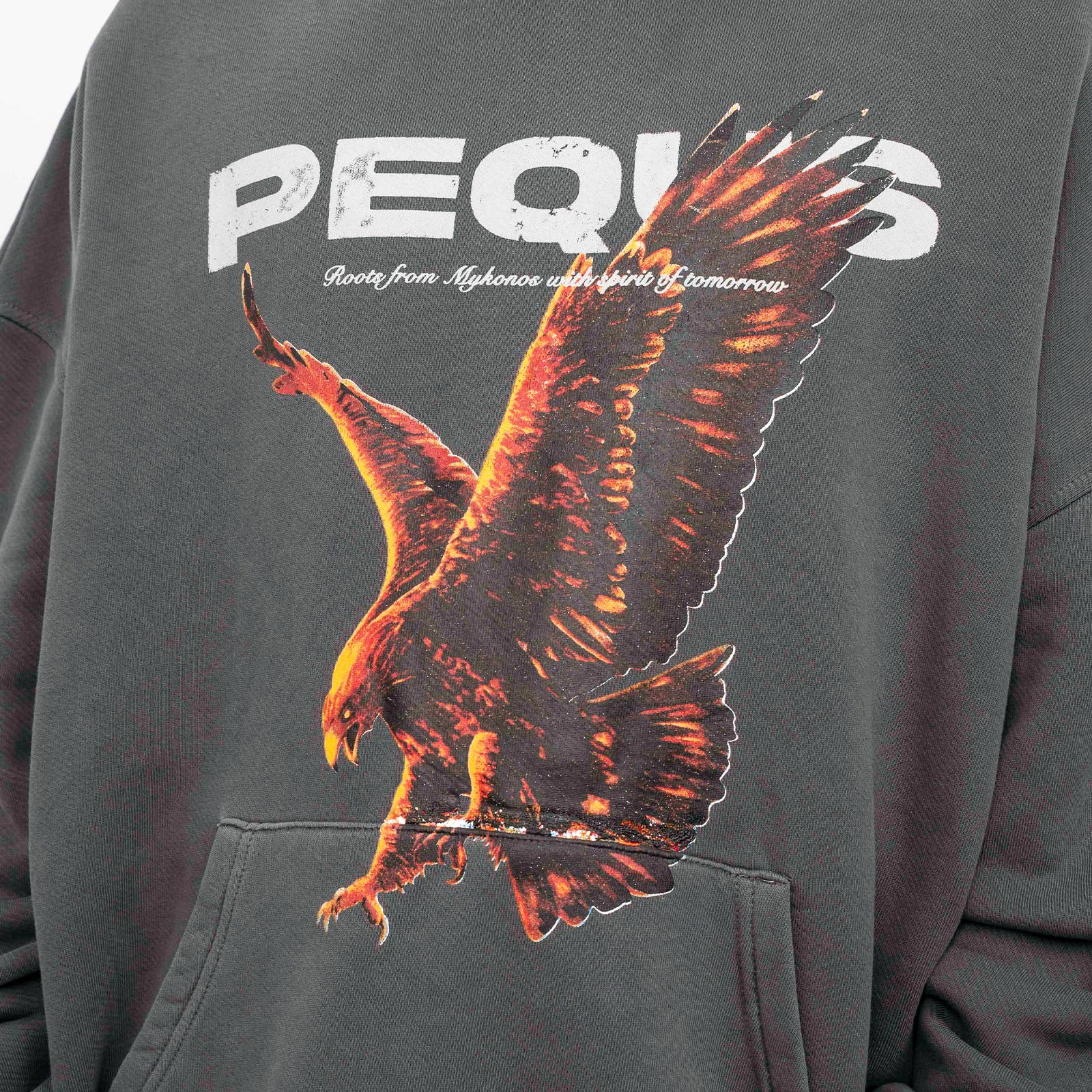Eagle Graphic Hoodie