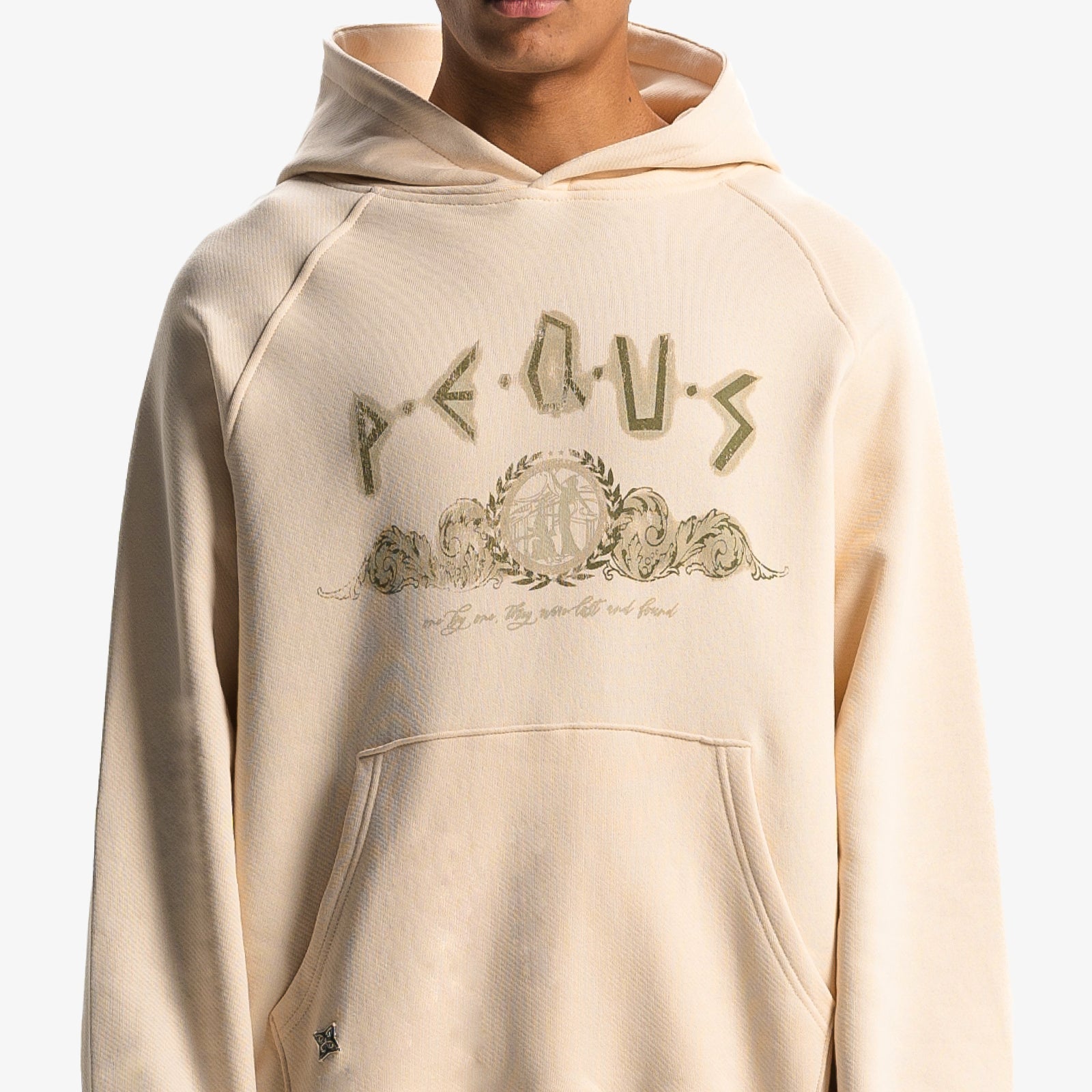 Ancient Painting Hoodie