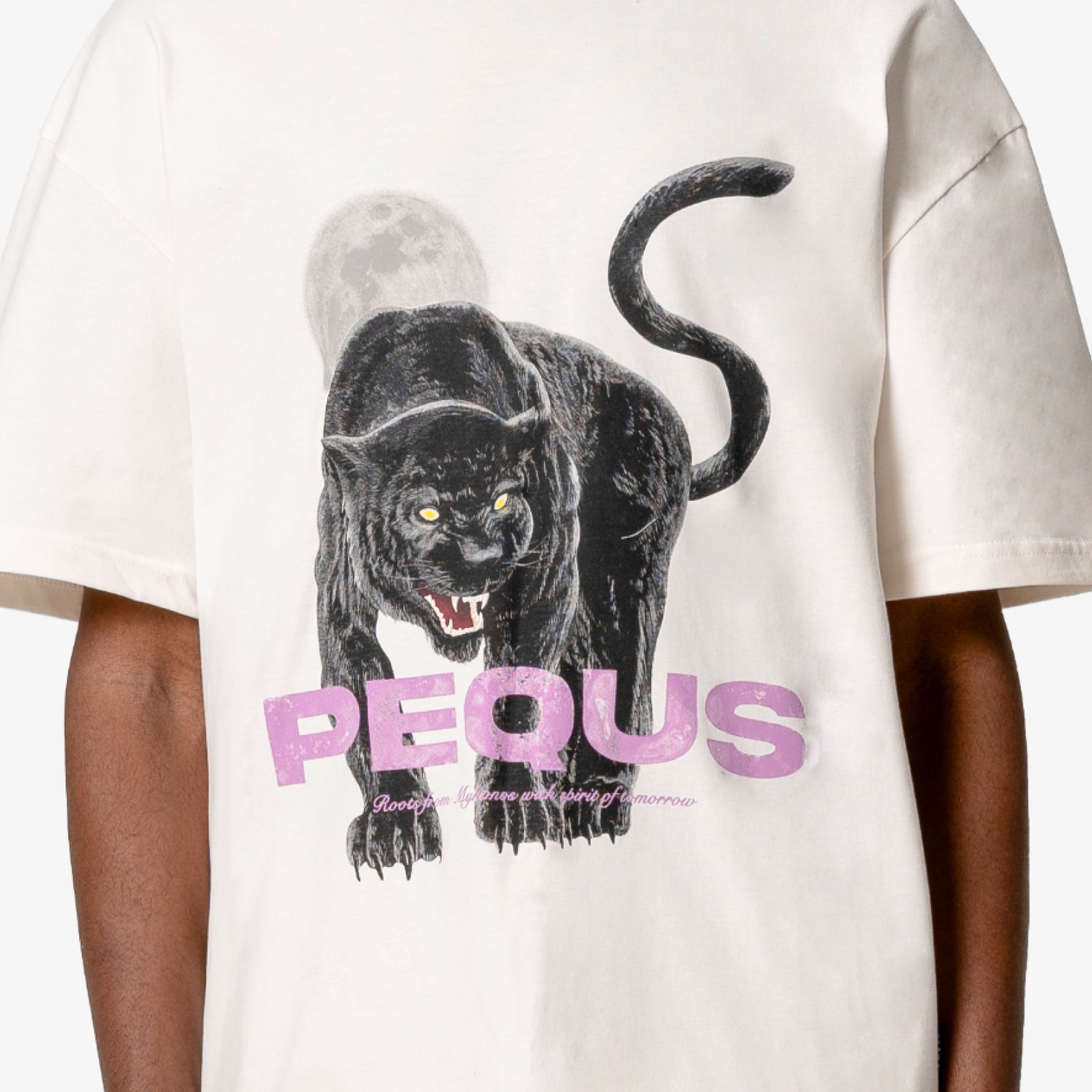 Pantha Graphic T-Shirt